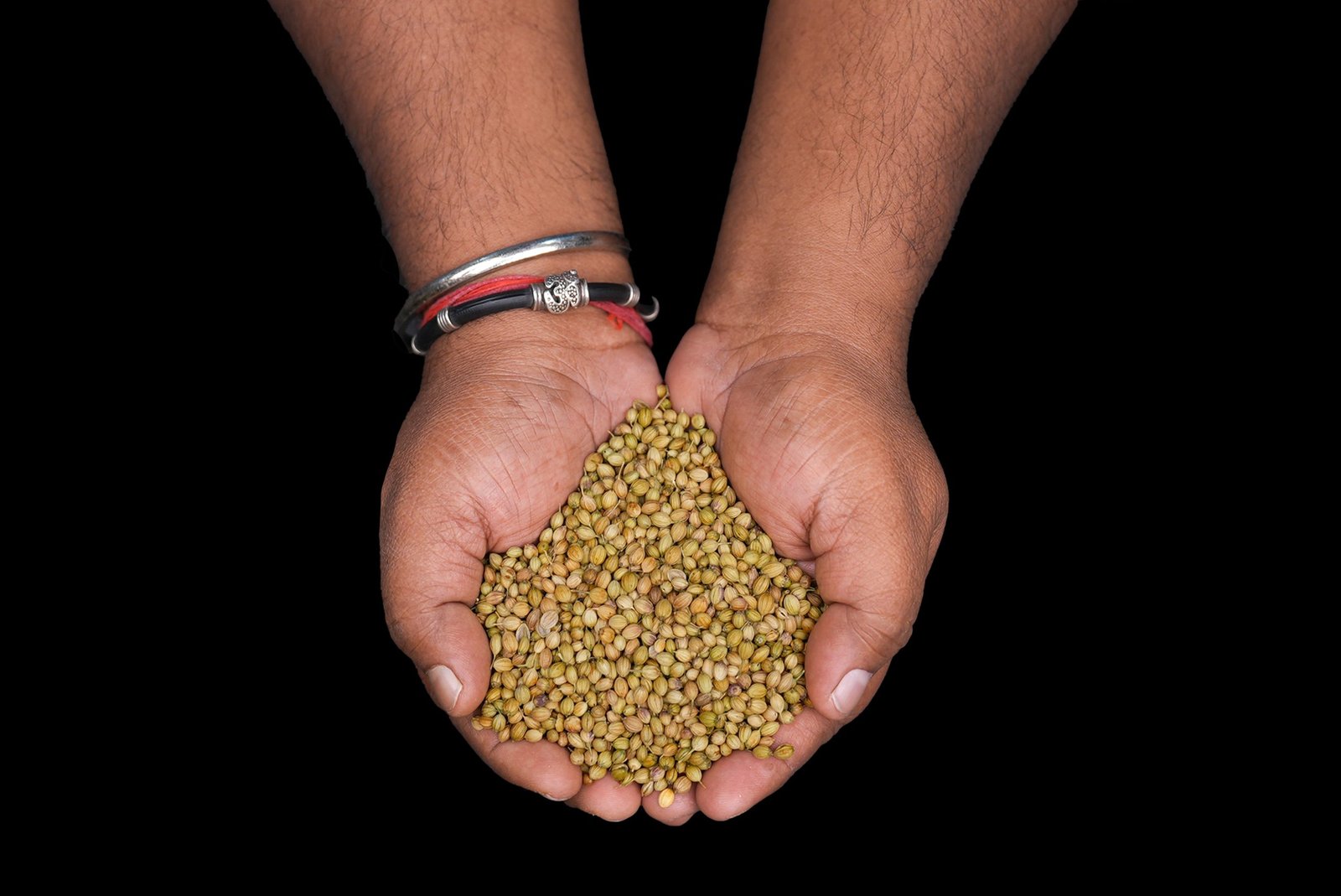 CORIANDER SEEDS Dhanialu